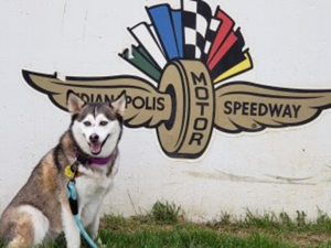 Aspen at the Indianapolis 500